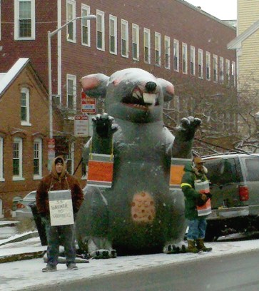 Scabby the Rat at a 2010 picket line in Cambridge, Massachusetts (credit: Joseph Ballirali/en.wikimedia)