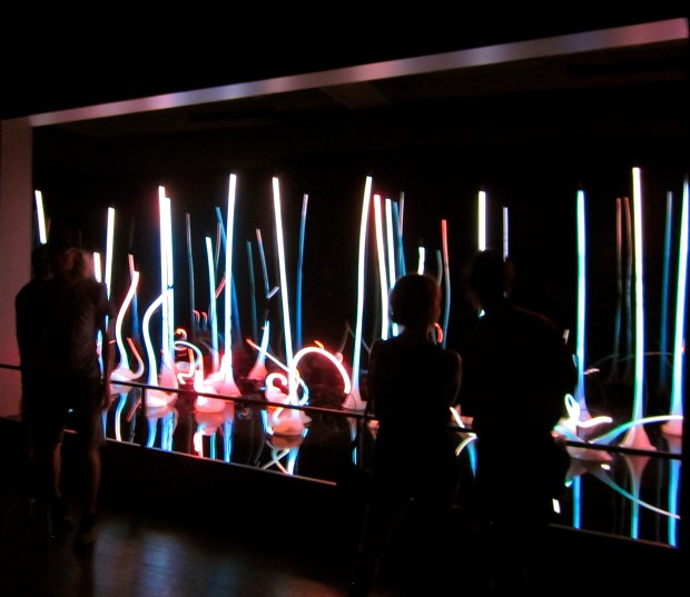 People looking at the work "Glass Forest #6".